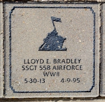 Bradley, Lloyd E. - VVA 457 Memorial Area C (15 of 309) (2)