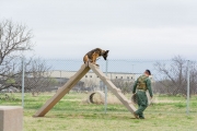 Fritz Dog Kennels Dedication WB, 29 March 19 (54)