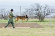 Fritz Dog Kennels Dedication WB, 29 March 19 (55)