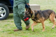 Fritz Dog Kennels Dedication WB, 29 March 19 (59)