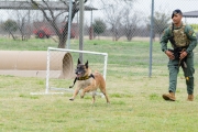 Fritz Dog Kennels Dedication WB, 29 March 19 (64)