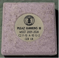 #157 Hawkins, Pleaz III