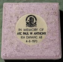 #160 In Memory Of A1C Anthony #2