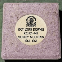 #179 Downes