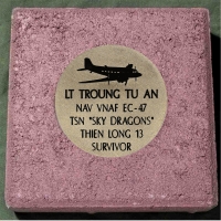 #290 Troung Tu An WR