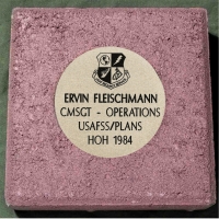 #310 FLEISCHMANN WR