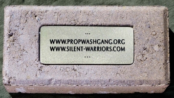 386 - www.propwashgang.org