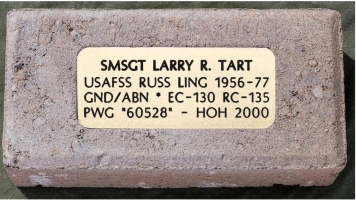 #452 Tart