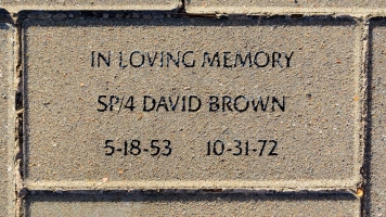 Brown, David - VVA 457 Memorial Area C (169 of 309) (2)